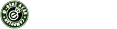 eレンタカー