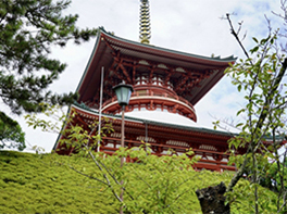 成田山新勝寺